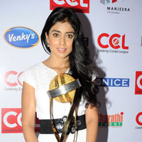 Shriya Saran new pictures | Picture 47196